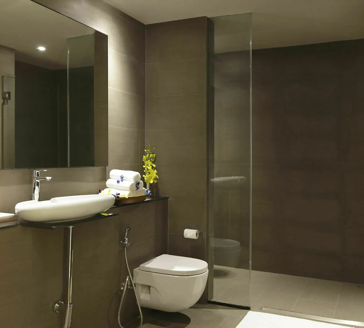 Holiday Inn Express New Delhi International Airport T3 By Ihg 4*,